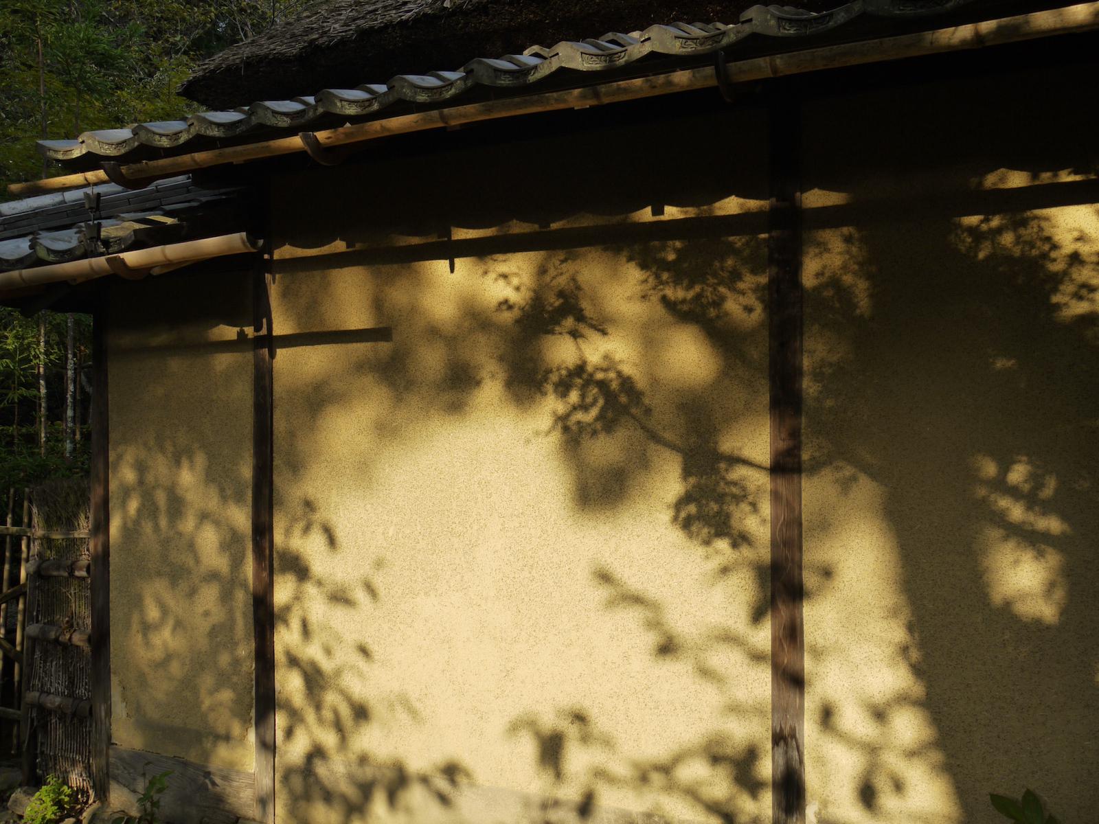 Blätter werfen Schatten auf die Hütte eines japanischen Weisen.